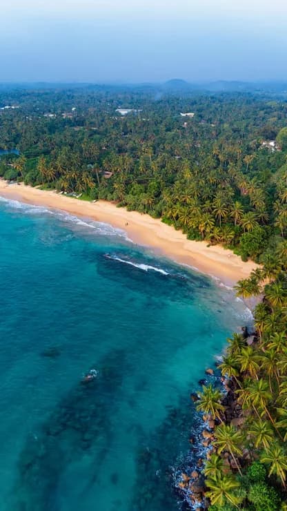 Sri Lanka's palm-lined coast seen from the air